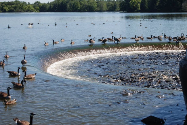 Hồ Pymatuning từng và vùng đầm lầy rộng lớn tại vùng Crawford ở bang Pennsylvania, Mỹ. Sông Shenango chảy qua đầm lầy cổ đại này và cung cấp phù sa cho vùng hạ lưu ở thung lũng Beaver và Shenango