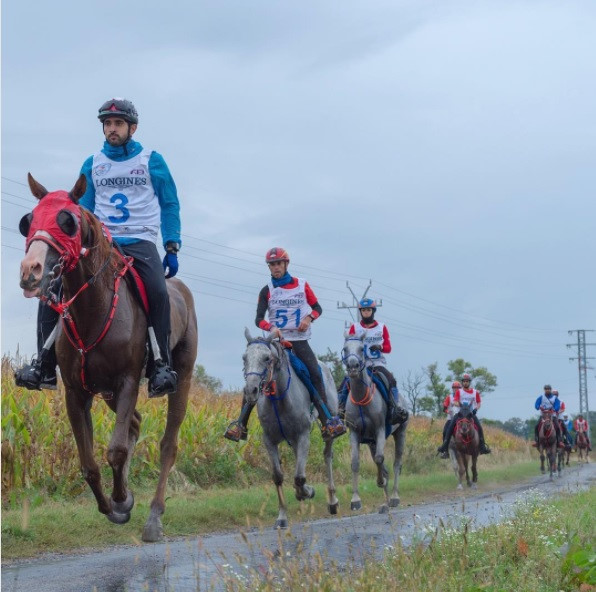 Và cưỡi ngựa. Fazza giành giải nhất trong giải đua ngựa đường trường Sheikh Mohammed Bin Rashid Al Maktoum (160 km) vào năm 2015. Ảnh: Faz3/Instagram.