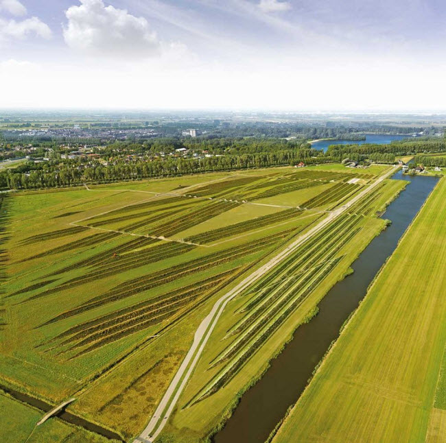 Khu vực Haarlemmermeer rất bằng phẳng và không có đồi hay thung lũng để ngăn cản đường của sóng âm thanh. Khi sân bay khai thác đường băng dài nhất vào năm 2003, người dân có thể nghe thấy tiếng động cơ máy bay cất/cánh từ khoảng cách 28 km.