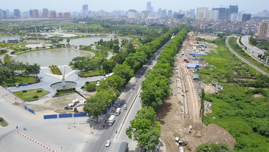 Hàng cây xà cừ ở đường Phạm Văn Đồng có thể bị chặt bỏ
