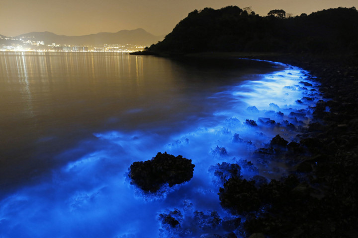 Bức ảnh chụp chậm cho thấy một loại tảo dọc theo bờ biển Hong Kong. Ảnh: AP.