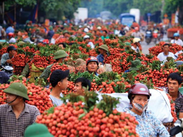 Thúc đẩy mở cửa thị trường, nông sản Việt ồ ạt vào Úc