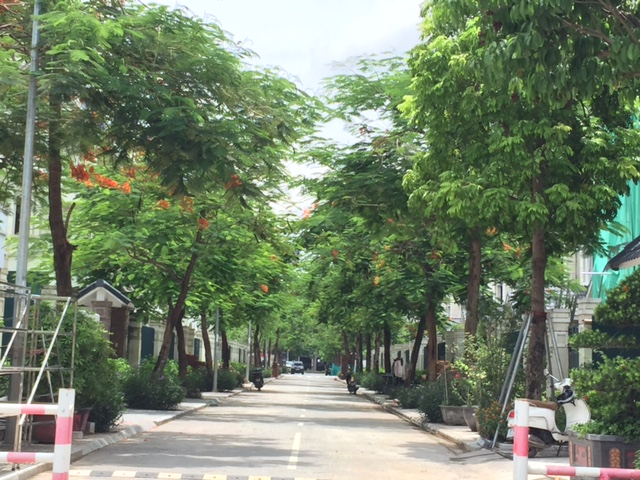 Mãn nhãn Khu đô thị Dương Nội rợp bóng cây xanh