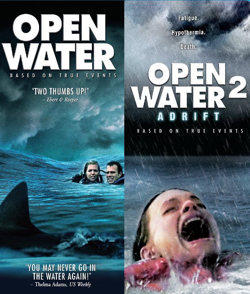 Đạo diễn Chris Kentis đã mang tới tác phẩm kinh dị viễn tưởng hay nhất năm 2015 – Open Water với những thước phim quay theo phương pháp giả tài liệu, khiến khán giả cảm nhận sâu hơn về tâm lý, nỗi sợ của hai nhân vật chính cũng như hành vi của cá mập rất thật, bạn sẽ trải qua nhiều trường đoạn kinh hoàng với tác phẩm này.  Với ngân sách khiêm tốn chỉ vỏn vẹn 500.000 USD, nhưng bộ phim đã mang về con số gấp 60 lần, tức là 30 triệu USD.