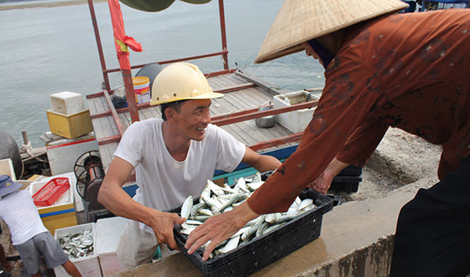 Thủ tướng Chính phủ Nguyễn Xuân Phúc chỉ đạo Bộ Y tế, nửa tháng nữa phải công bố công bố công khai báo cáo các chỉ số của hải tầng đáy sản 4 tỉnh miền Trung