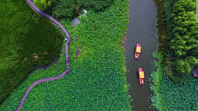Mỗi mùa hè, các công viên đất ngập nước của thành phố Tảo Trang, tỉnh Sơn Đông, đặc biệt là Công viên Honghe - vùng đất ngập nước tự nhiên lớn nhất ở miền bắc Trung Quốc - lại rực rỡ hoa sen.