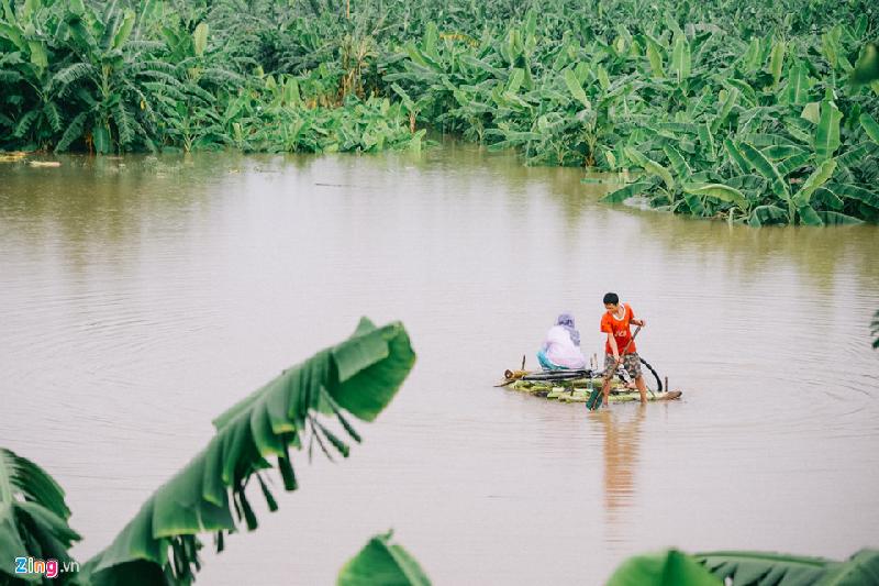 Con đường mòn dẫn vào nơi sinh sống của 4 hộ gia đình tại bãi giữa sông Hồng (quận Hoàn Kiếm, Hà Nội) ngập nước gần một tuần nay. Nhà có điều kiện thì sắm thuyền, còn lại phải dùng bè tự chế từ thân chuối.