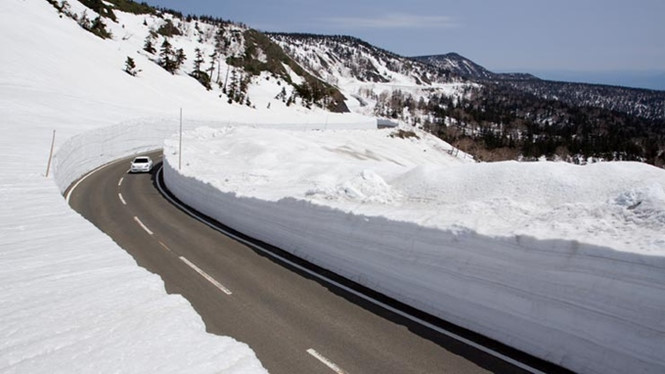 Con đường tuyết Tateyama Kurobe Alpine hay còn gọi Great Snow Walls là một địa điểm hấp dẫn của Nhật Bản, thu hút hàng nghìn lượt khách tham quan mỗi năm. Bức tường tuyết hai bên đường có thể cao tới 20 m.