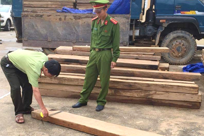 Lực lượng chức năng đang kiểm kê số gỗ (Ảnh: Công an cung cấp)