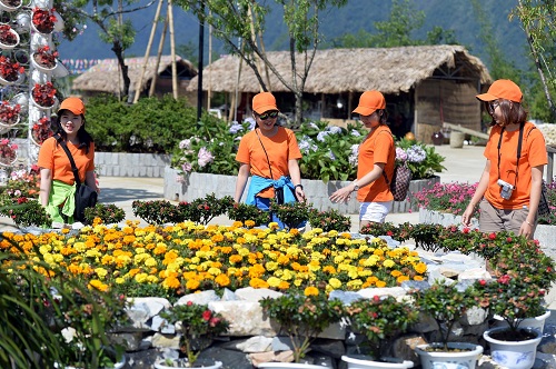 Thiên đường hoa cùng những điểm check in “không góc chết” ở Sun World Fansipan Legend (Sapa- Lào Cai) cũng sẽ giúp du khách toả sáng.