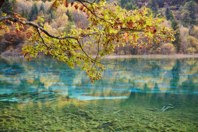 Khu thắng cảnh Cửu Trại Câu, Trung Quốc: Địa điểm này nổi tiếng với những hồ nước tự nhiên có nhiều màu sắc khác nhau.