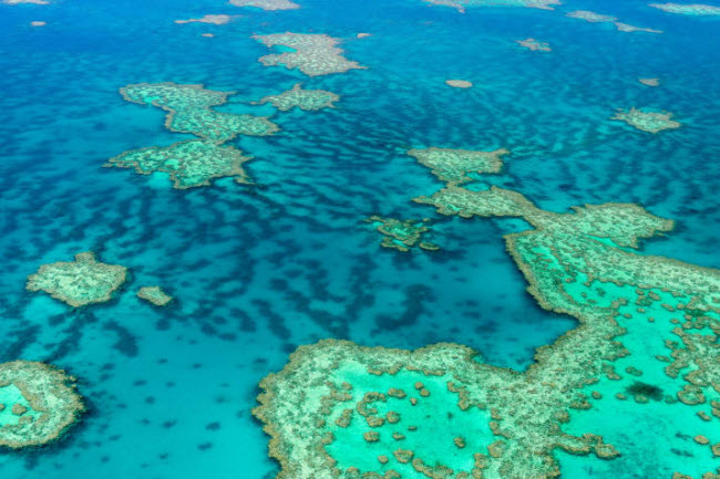 Rạn san hô Great Barrier, Australia: Hơn 1.500 loài cá sinh sống tại hệ thống rạn san hô lớn nhất thế giới này.