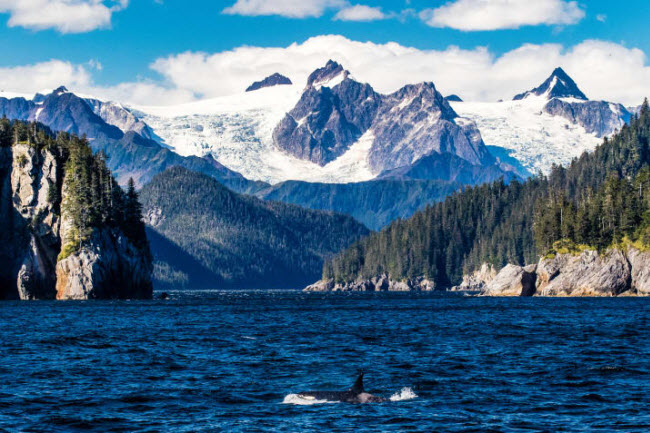 Vườn quốc gia vịnh See Kenai, Mỹ: Nằm tại bang Alaska, đây là một hệ sinh thái đa dạng với nhiều phong cảnh đẹp.