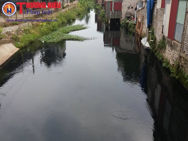 Nước thải đổ thẳng ra sông Sắt chỉ cách đầu thu nước thô của Xí nghiệp kinh doanh nước sạch Vụ Bản trên 50 mét. 