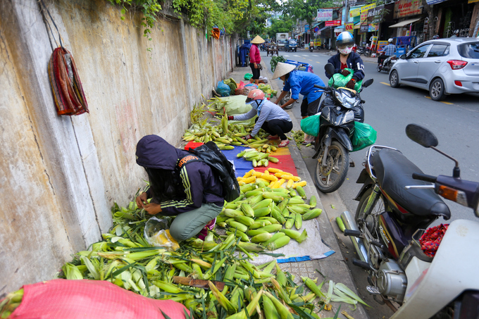 Còn dọc theo đường Tân Sơn (quận Tân Bình), khoảng thời gian này, trái bắp được bán nhiều trên vỉa hè với giá khá rẻ. Chị Ngọc Thuyết nói: 