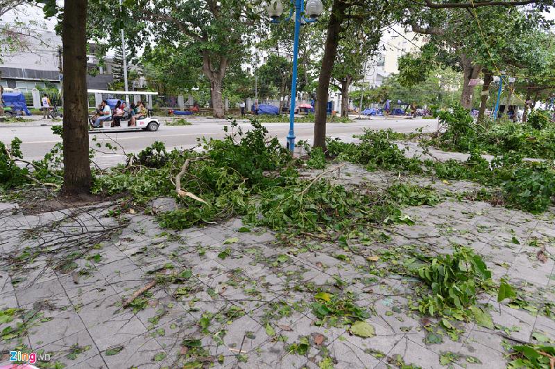 Vỉa hè đường Nguyễn Du, Lê Lợi, Lê Văn Hưu... cành cây đổ gãy khắp nơi.