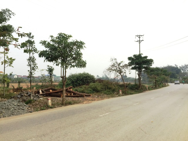 Chính phủ yêu cầu Hà Nội giải quyết khiếu nại đất đai ở Thạch Thất