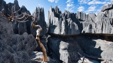 Kỳ quan rừng đá ít người có thể tới ở Madagascar