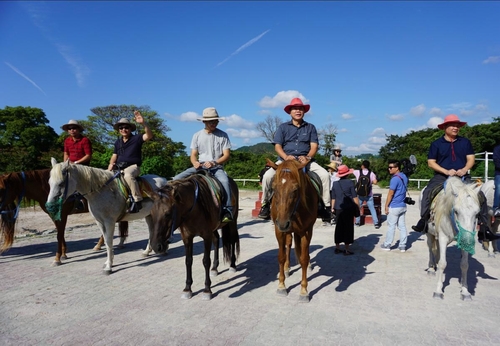 Cưỡi ngựa – Jeju là nơi có địa hình và khí hậu phù hợp với việc nuôi và huấn luyện ngựa. Ngựa ở đây được huấn luyện rất tốt đồng thời luôn có huấn luyện viên đi cùng nên du khách có thể an tâm để cưỡi những chú ngựa xinh đẹp dạo bước trên những đồng cỏ xanh mướt. Trong ảnh là các du khách Việt tham gia trải nghiệm cưỡi ngựa tại đảo tình yêu này.