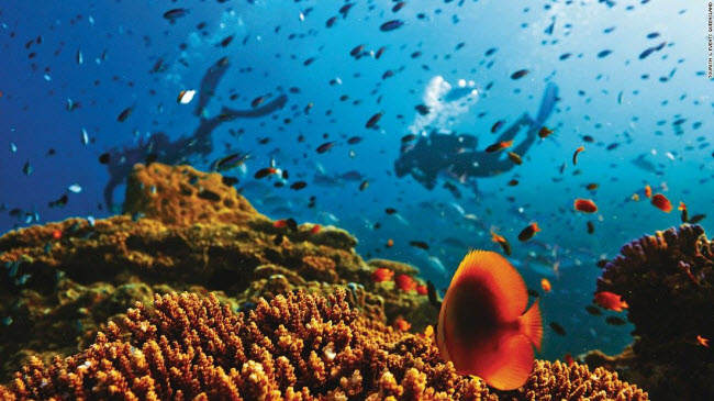 Khu bảo tồn rạn san hô Great Barrier, Australia: Là hệ sinh thái lớn nhất trên thế giới, rạn san hô Great Barrier có thể được nhìn thấy bằng mắt thường từ trên không gian.