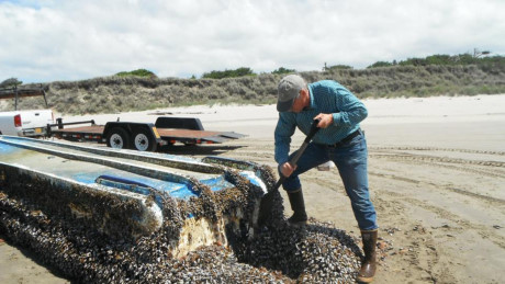 Nhà nghiên cứu John Chapman kiểm tra một chiếc tàu phủ đầy vỏ sò của Nhật Bản trên biển Long Beach, Washington. Ảnh: AP