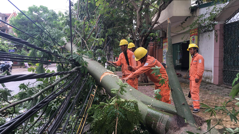 Hàng loạt đường dây điện gặp sự cố do cơn bão số 10