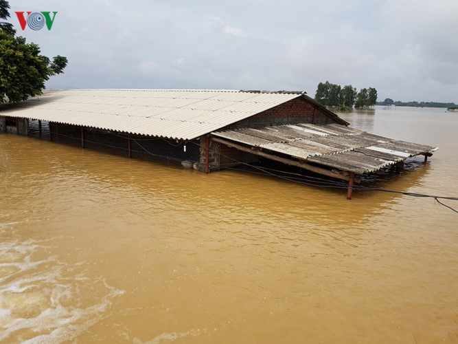 Nước ngập gần lên mái nhà dân xã Tân Tiến