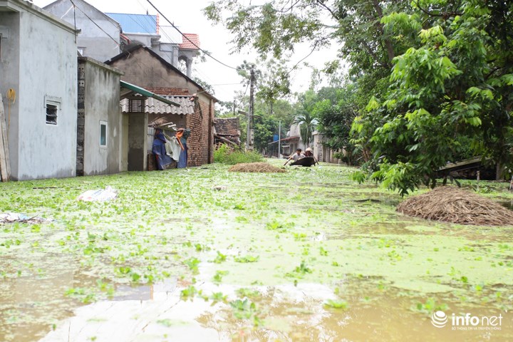Đường làng ngõ xóm bị ngập lụt sâu, để di chuyển, người dân chỉ có thể dùng thuyền thúng, mủng để đi lại.
