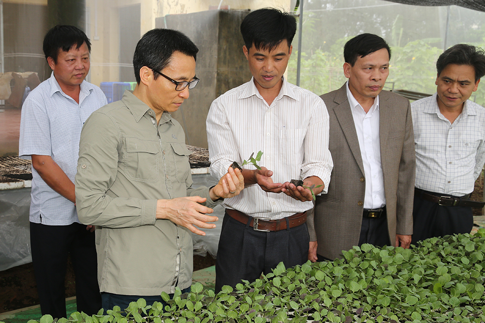 Phó Thủ tướng thăm mô hình sản xuất rau an toàn tại Hợp tác xã Yên Phú. Ảnh: VGP