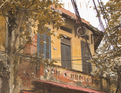 Những ngôi nhà cổ đã bong tróc lớp sơn là nét đẹp riêng biệt chỉ có ở Hà Nội, với những tán lá bàng chuyển màu vàng nhẹ khiến tâm hồn nhẹ nhàng hoài niệm lại những hình ảnh thu xưa cũ.
