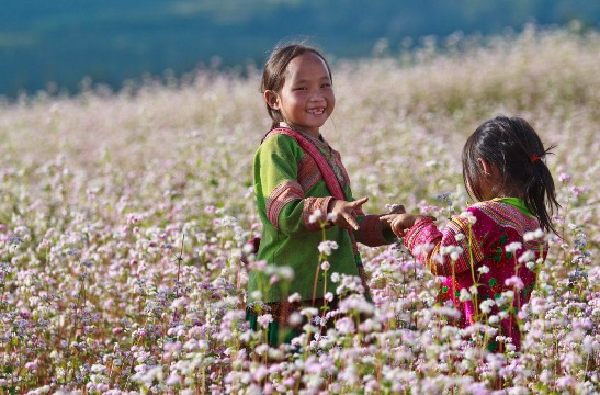 Cuối tháng 11, nhớ đến Hà Giang tham gia Lễ hội hoa tam giác mạch