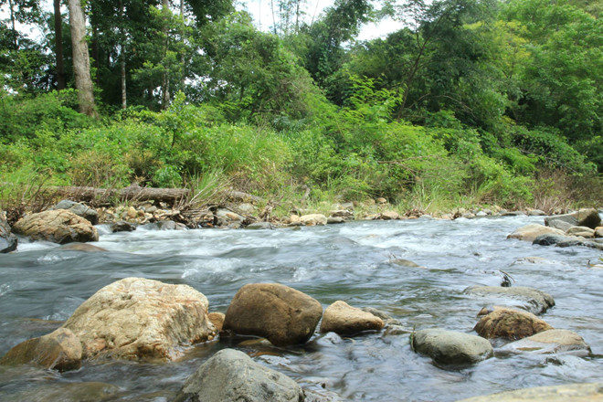 Con suối gần thác Yavly ở Phan Dũng.
