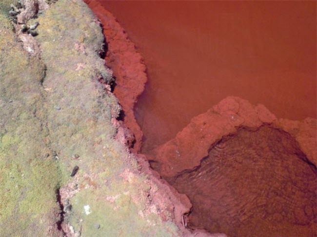 Hồ nước có màu sắc kỳ lạ này nằm cách mực nước biển khoảng 3.700 m và cách thành phố Iquique 147 km.