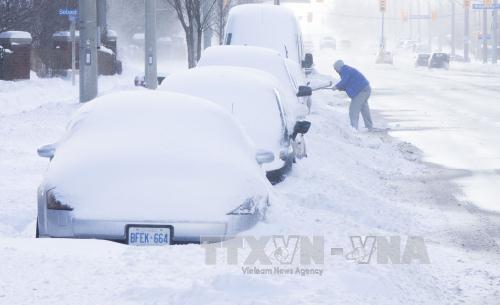 Tuyết phủ trắng xóa tại Toronto, Canada ngày 25/12. Ảnh: THX/TTXVN
