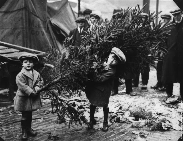 Hai bé trai chụp ảnh với cây thông Giáng sinh ở London năm 1920.
