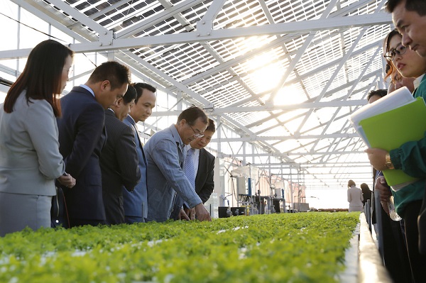 FLC dự kiến đầu tư 1,5 tỷ USD vào nông nghiệp công nghệ cao Việt Nam