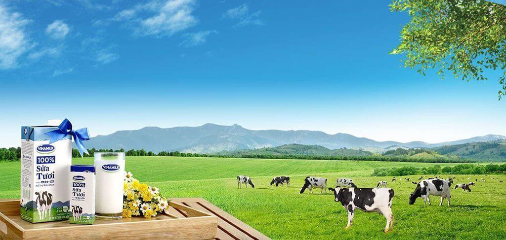 Thông tin xấu độc làm hại doanh nghiệp: Làm sao ngăn chặn?