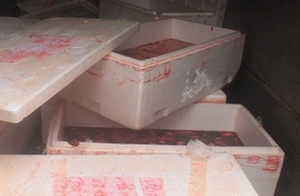 3 tạ lòng lợn, gà bốc mùi &quot;tấn công&quot; Thủ đô