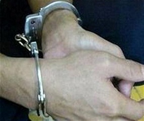 Ra mắt Ban chỉ đạo phòng, chống tội phạm của Chính phủ