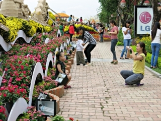 Người dân Đà Nẵng chỉ xin chứ không “cướp” hoa!