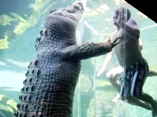  Thót tim nhìn cảnh người đối đầu với &quot;quái thú&quot;