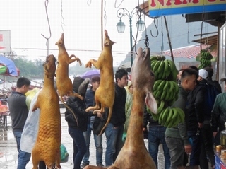Thịt thú rừng: Thật, giả đều phải cấm!