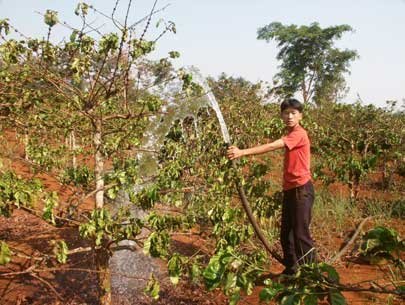 Thiếu nước, khô hạn tiếp tục gia tăng