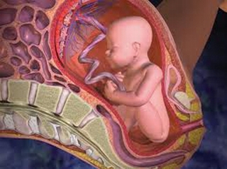 Nhiều lợi ích khi lưu giữ tế bào gốc của con