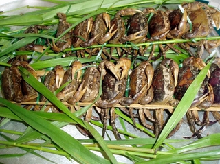 Uống nước cua sống sẽ tăng lực?