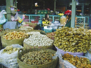 Gừng độc Trung Quốc tràn ngập nhà hàng Việt Nam