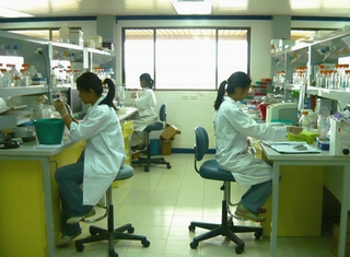 Người Việt thông minh, tại sao khoa học lạc hậu?