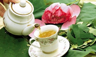 Uống nước lá sen sai cách sẽ làm hỏng gan