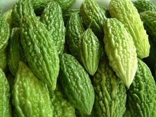 Cách chọn mua mướp đắng không nhiễm độc