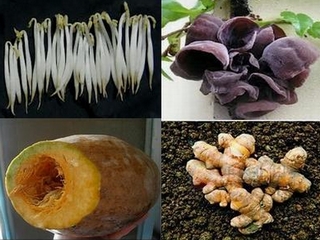 Những loại thực phẩm độc hại không nên ăn